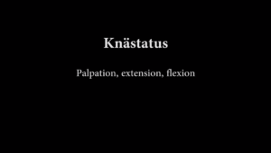 Knästatus (Palpation, Rörelseomfång) 1