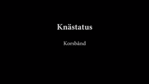 Knästatus (Korsband) 1