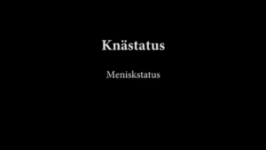 Knästatus (Menisk) 1