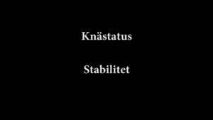 Knästatus (Kollateralligament) 1